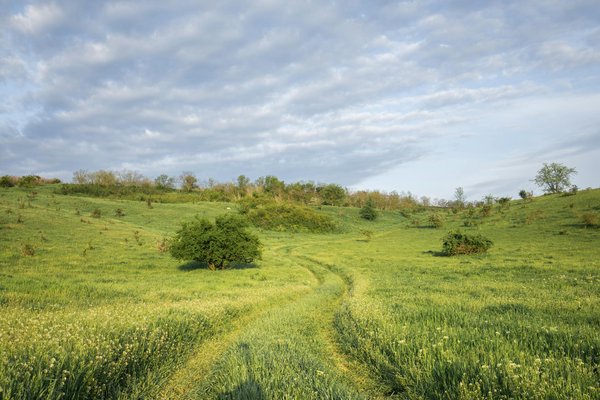 Wie kann man die Sichtbarkeit von FerienunterkÃ¼nften online verbessern?