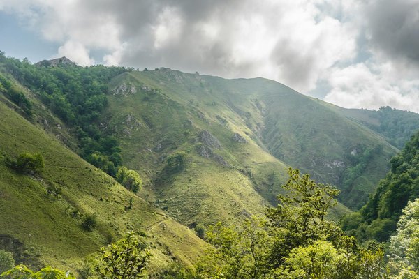 Welche innovativen AnsÃ¤tze gibt es fÃ¼r nachhaltige Kreuzfahrten?