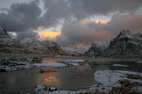 Wie beeinflussen Kreuzfahrten die lokale Tierwelt?